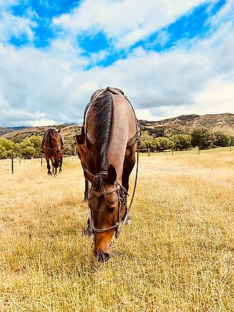 Premium Photographic Print, , small