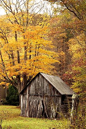 Premium Photographic Print, , small