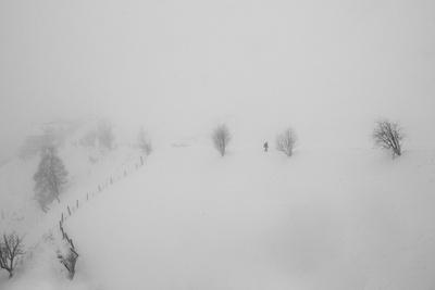 Premium Photographic Print, , small