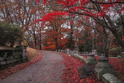 Premium Photographic Print, , small