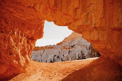 Premium Photographic Print, , small