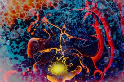 Giclee Print, , small