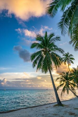 Premium Photographic Print, , small