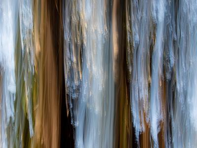 Photographic Print, , small