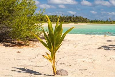 Photographic Print, , small