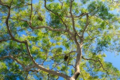 Photographic Print, , small