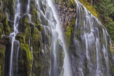 Premium Photographic Print, , small