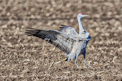 Photographic Print, , small