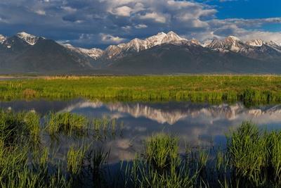 Premium Photographic Print, , small