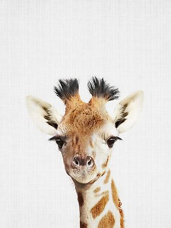 Premium Giclee Print, , small