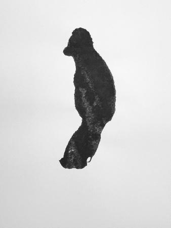 Premium Giclee Print, , small