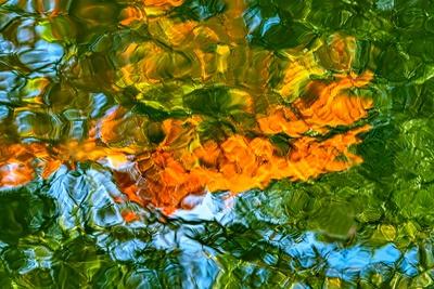 Premium Photographic Print, , small