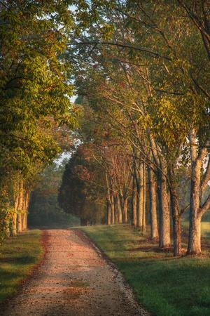 Premium Photographic Print, , small