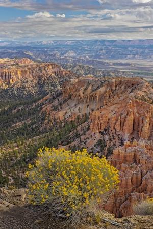 Premium Photographic Print, , small
