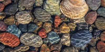 Photographic Print, , small