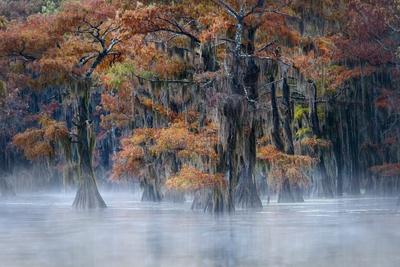 Premium Photographic Print, , small