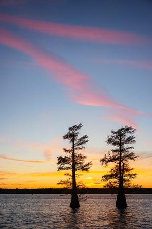 Premium Photographic Print, , small