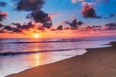 Premium Photographic Print, , small