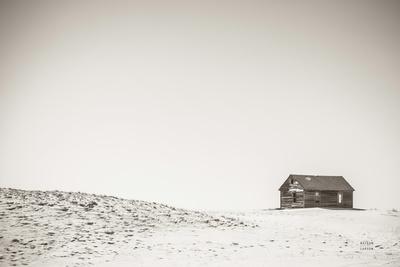Premium Photographic Print, , small