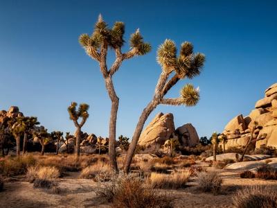 Photographic Print, , small