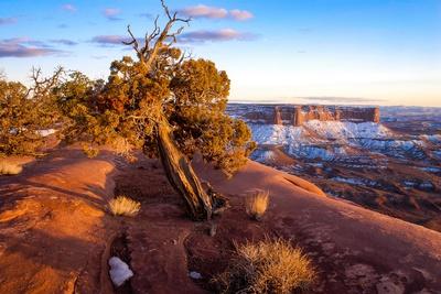 Premium Photographic Print, , small