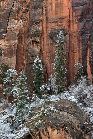 Premium Photographic Print, , small