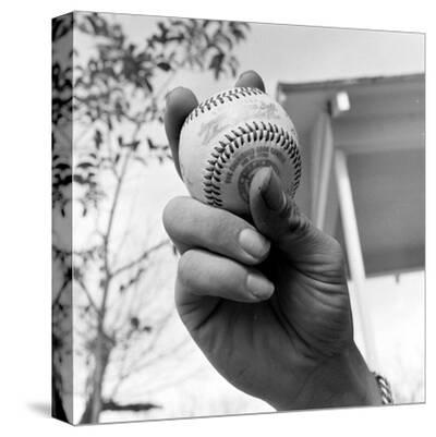 Stretched Canvas Print, , small