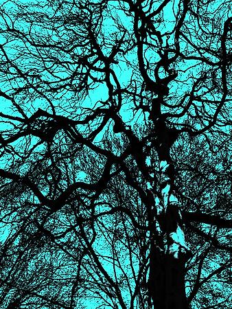 Premium Giclee Print, , small