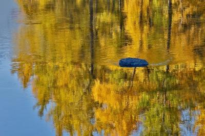 Premium Photographic Print, , small