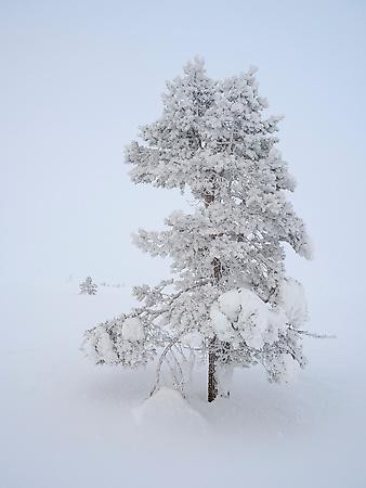 Premium Photographic Print, , small