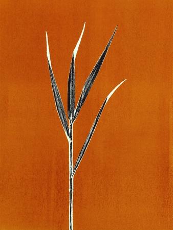 Premium Giclee Print, , small
