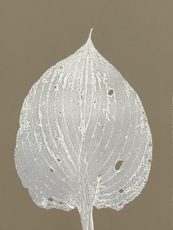 Premium Giclee Print, , small