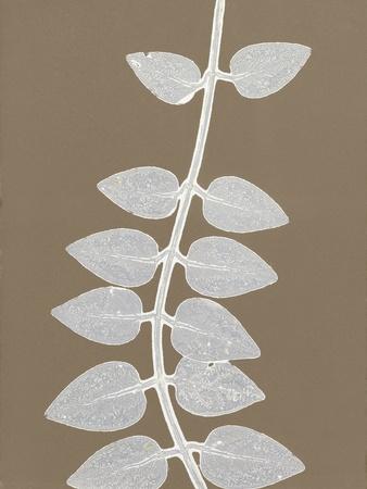 Premium Giclee Print, , small
