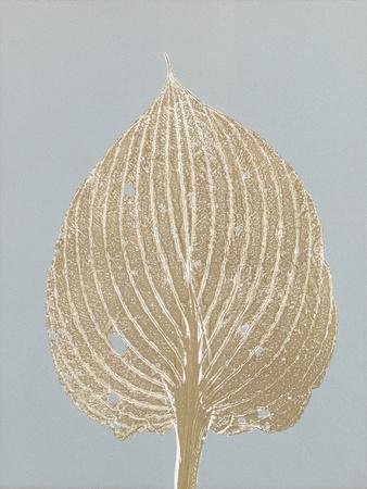 Premium Giclee Print, , small