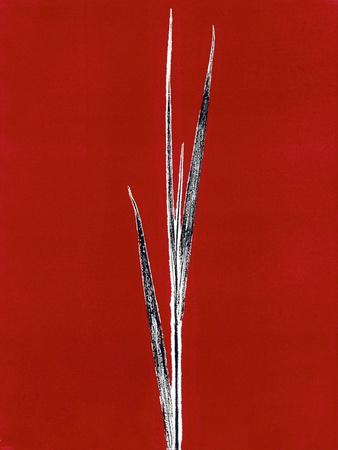 Premium Giclee Print, , small