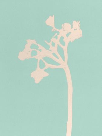 Premium Giclee Print, , small