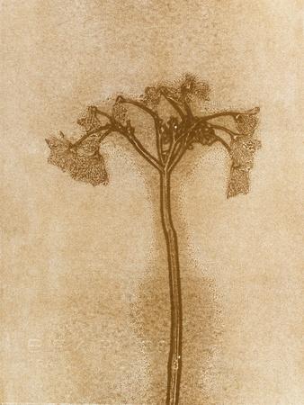 Premium Giclee Print, , small
