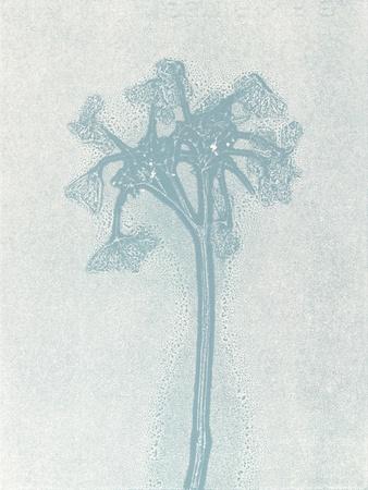 Premium Giclee Print, , small