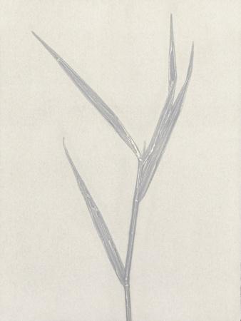 Premium Giclee Print, , small