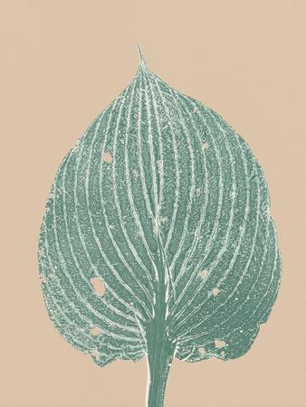 Premium Giclee Print, , small