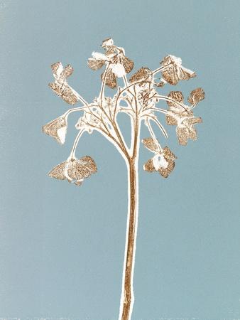 Premium Giclee Print, , small