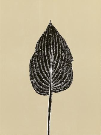 Premium Giclee Print, , small