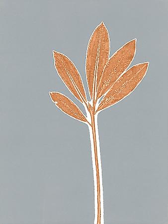 Premium Giclee Print, , small