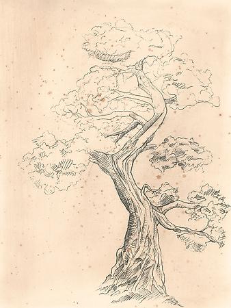 Premium Giclee Print, , small