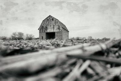 Premium Photographic Print, , small