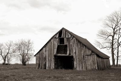 Premium Photographic Print, , small