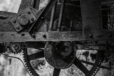Premium Photographic Print, , small