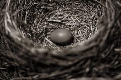 Premium Photographic Print, , small