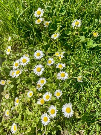 Premium Photographic Print, , small