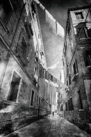 Premium Photographic Print, , small